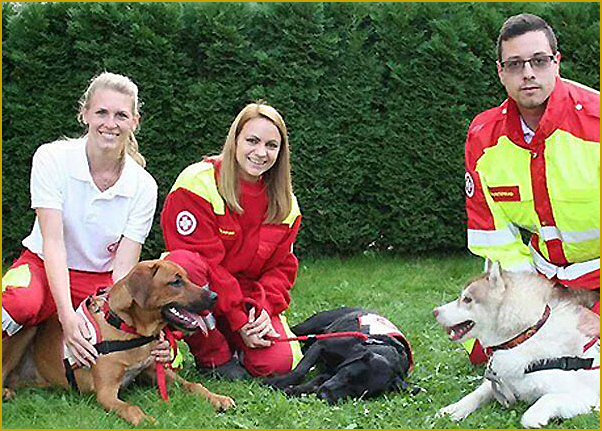 Husky als Rettungshund