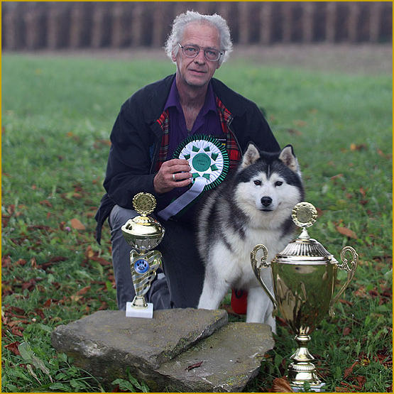 Siberian Husky Nordic Fire