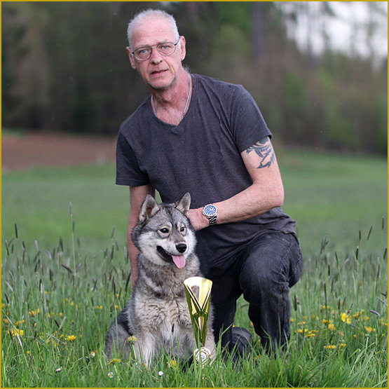 Siberian Husky Nordic Fire
