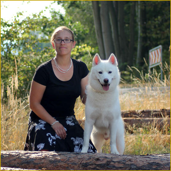 Siberian Husky Nordic Fire