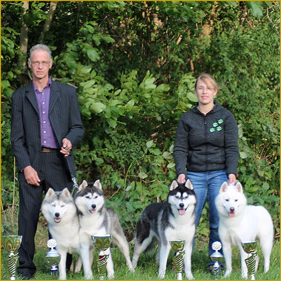 Siberian Husky Nordic Fire