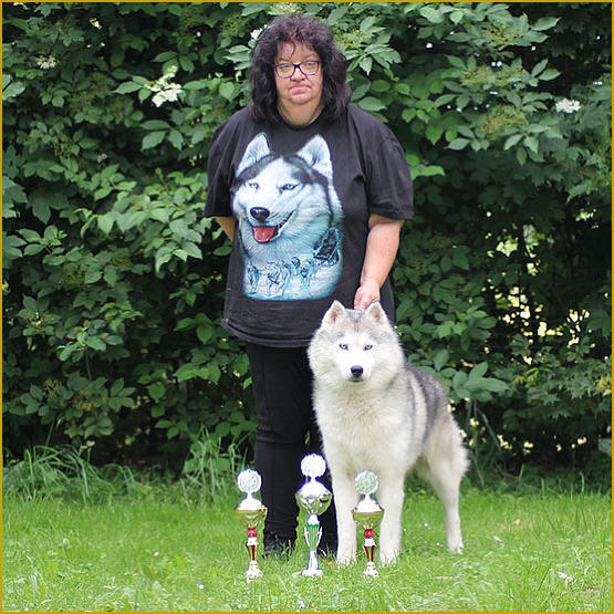 Siberian Husky Nordic Fire