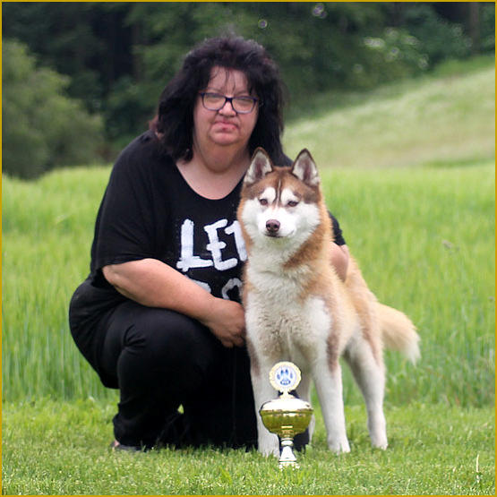 Siberian Husky Nordic Fire