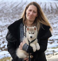 Siberian Husky Nordic Fire