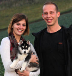 Siberian Husky Nordic Fire