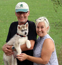 Siberian Husky Nordic Fire