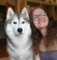Siberian Husky Nordic Fire