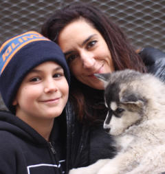 Siberian Husky Nordic Fire