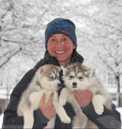 Siberian Husky Nordic Fire