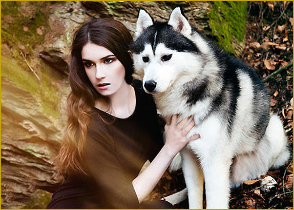 Siberian Husky Nordic Fire