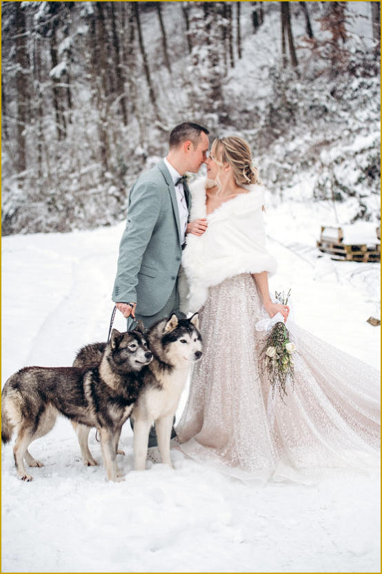 Siberian Husky Nordic Fire