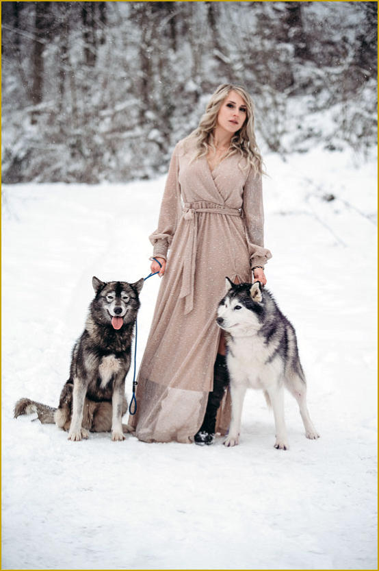 Siberian Husky Nordic Fire