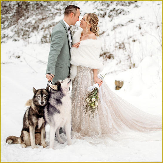 Siberian Husky Nordic Fire