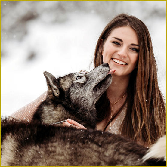 Siberian Husky Nordic Fire