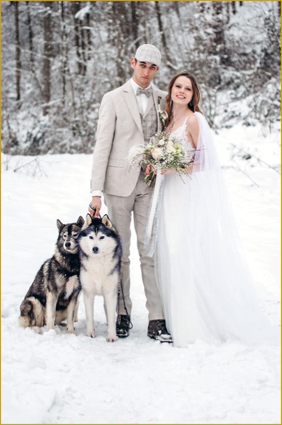 Siberian Husky Nordic Fire