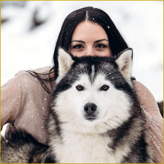 Siberian Husky Nordic Fire