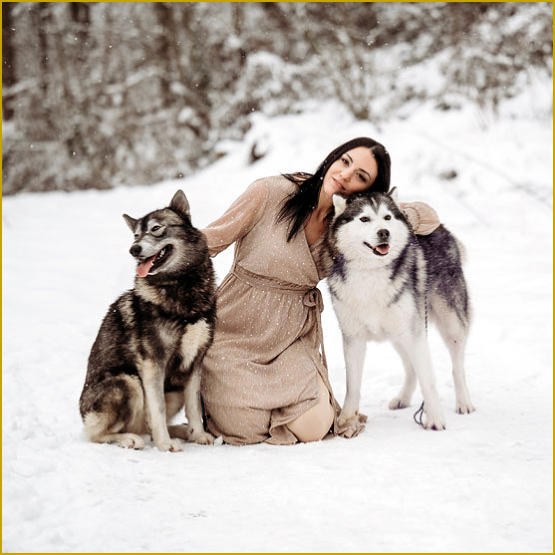 Siberian Husky Nordic Fire