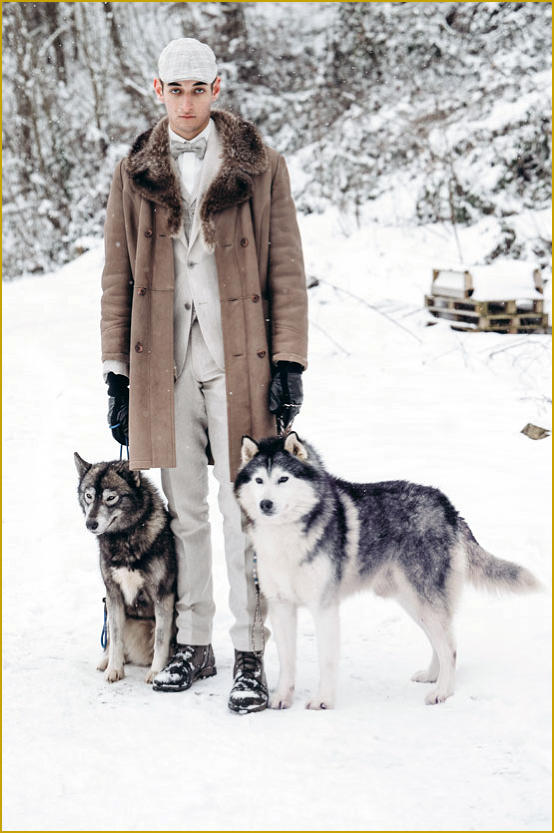 Siberian Husky Nordic Fire