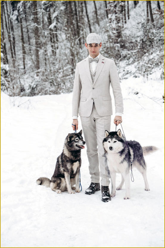 Siberian Husky Nordic Fire