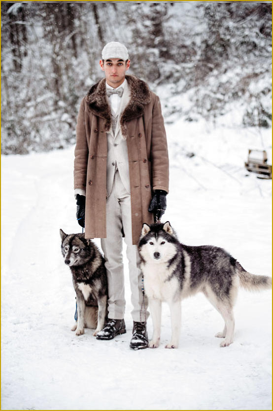 Siberian Husky Nordic Fire