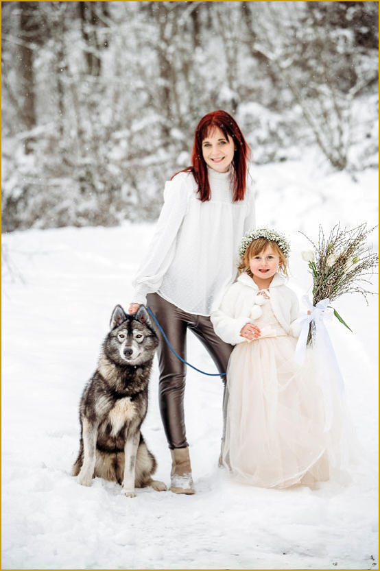 Siberian Husky Nordic Fire