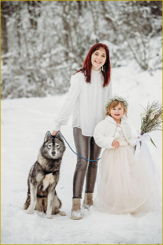Siberian Husky Nordic Fire
