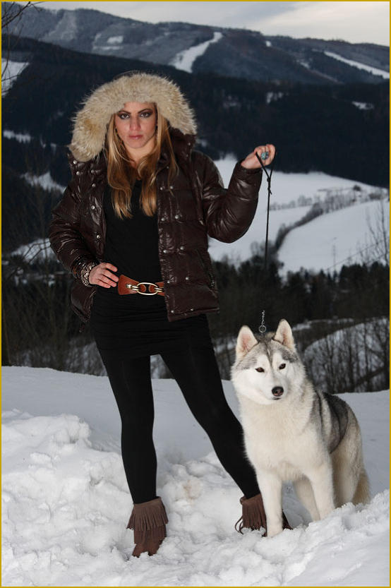 Siberian Husky Nordic Fire