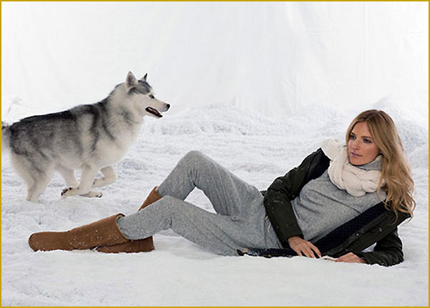 Siberian Husky Nordic Fire