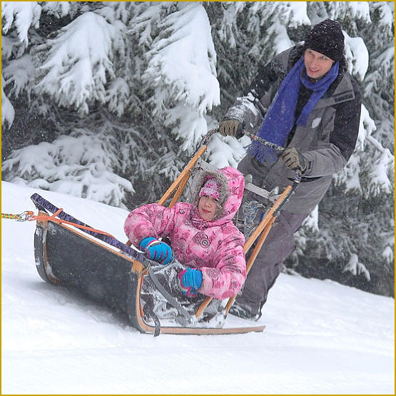 Siberian Husky Nordic Fire