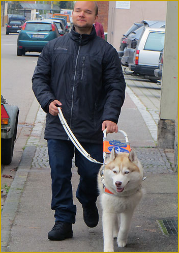 Der erste Blindenführhund in Europa der Rasse Siberian Husky