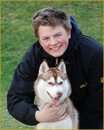 Husky als Therapiehund