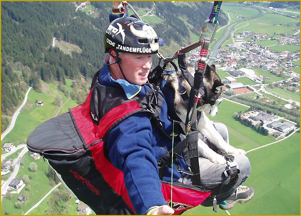 Husky beim Fallschirmspringen