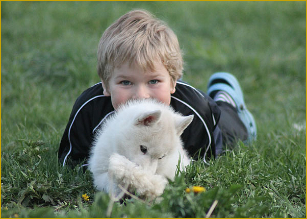 Husky und Kind