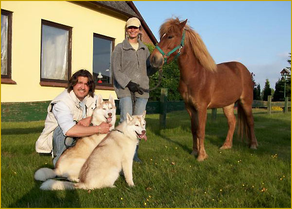 Zwei Huskies als Therapiehunde