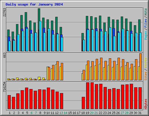 Daily usage for January 2024