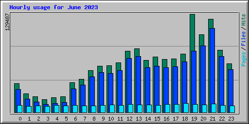 Hourly usage for June 2023