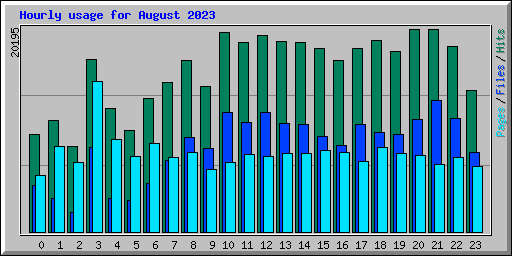 Hourly usage for August 2023
