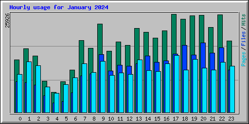 Hourly usage for January 2024
