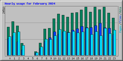 Hourly usage for February 2024