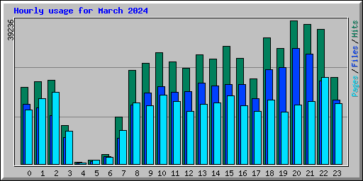 Hourly usage for March 2024