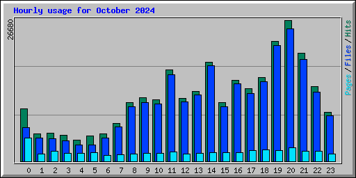 Hourly usage for October 2024