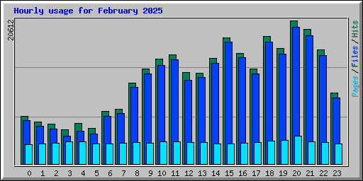 Hourly usage for February 2025