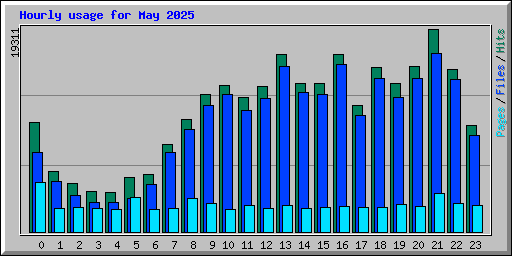 Hourly usage for May 2025