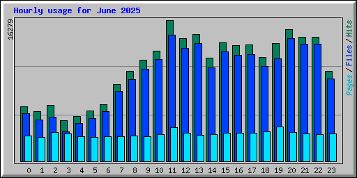 Hourly usage for June 2025