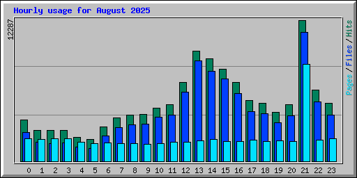 Hourly usage for August 2025